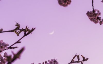 Le magnétisme au service du mieux-être : comment ça fonctionne ?