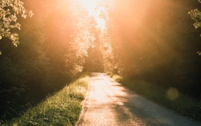 Cheminer avec le chagrin : l’accompagnement énergétique du deuil